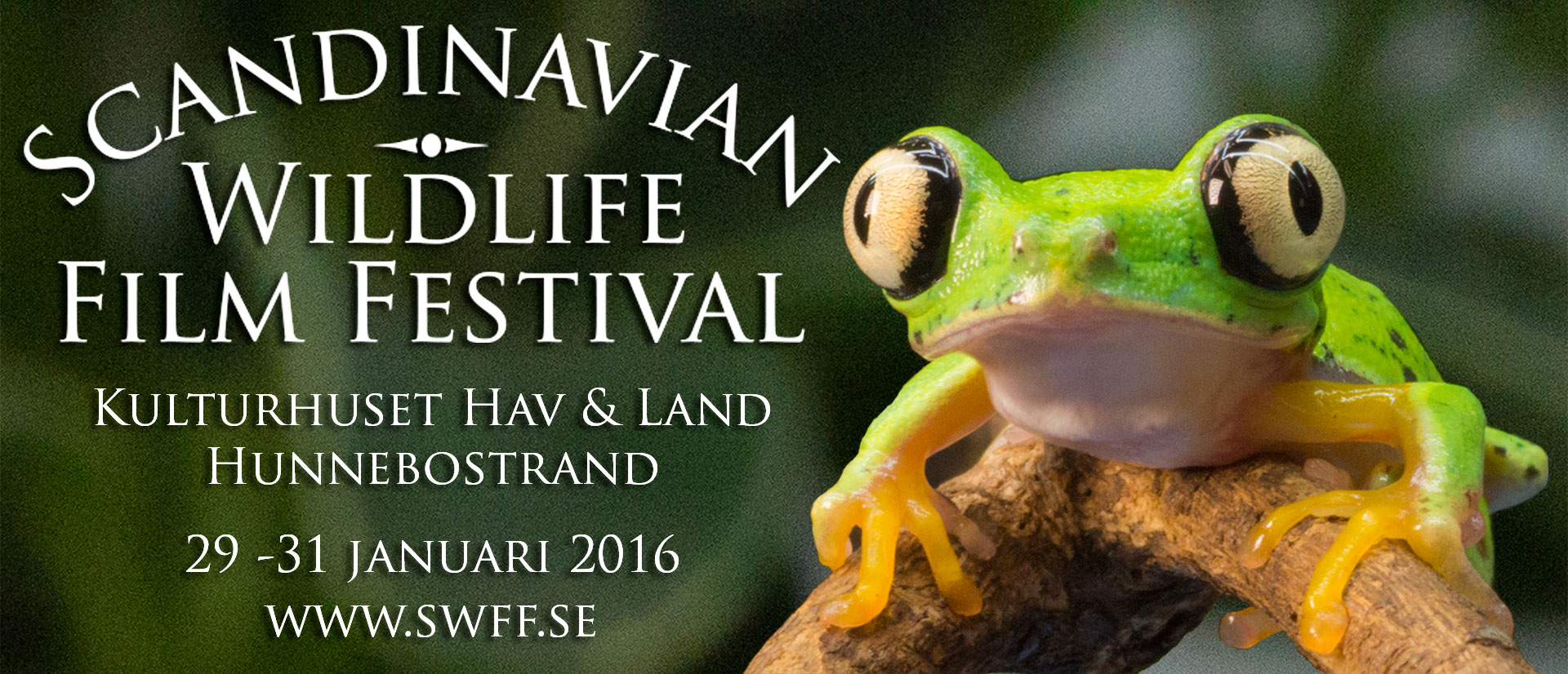 Scandinavian Wildlife Film festival