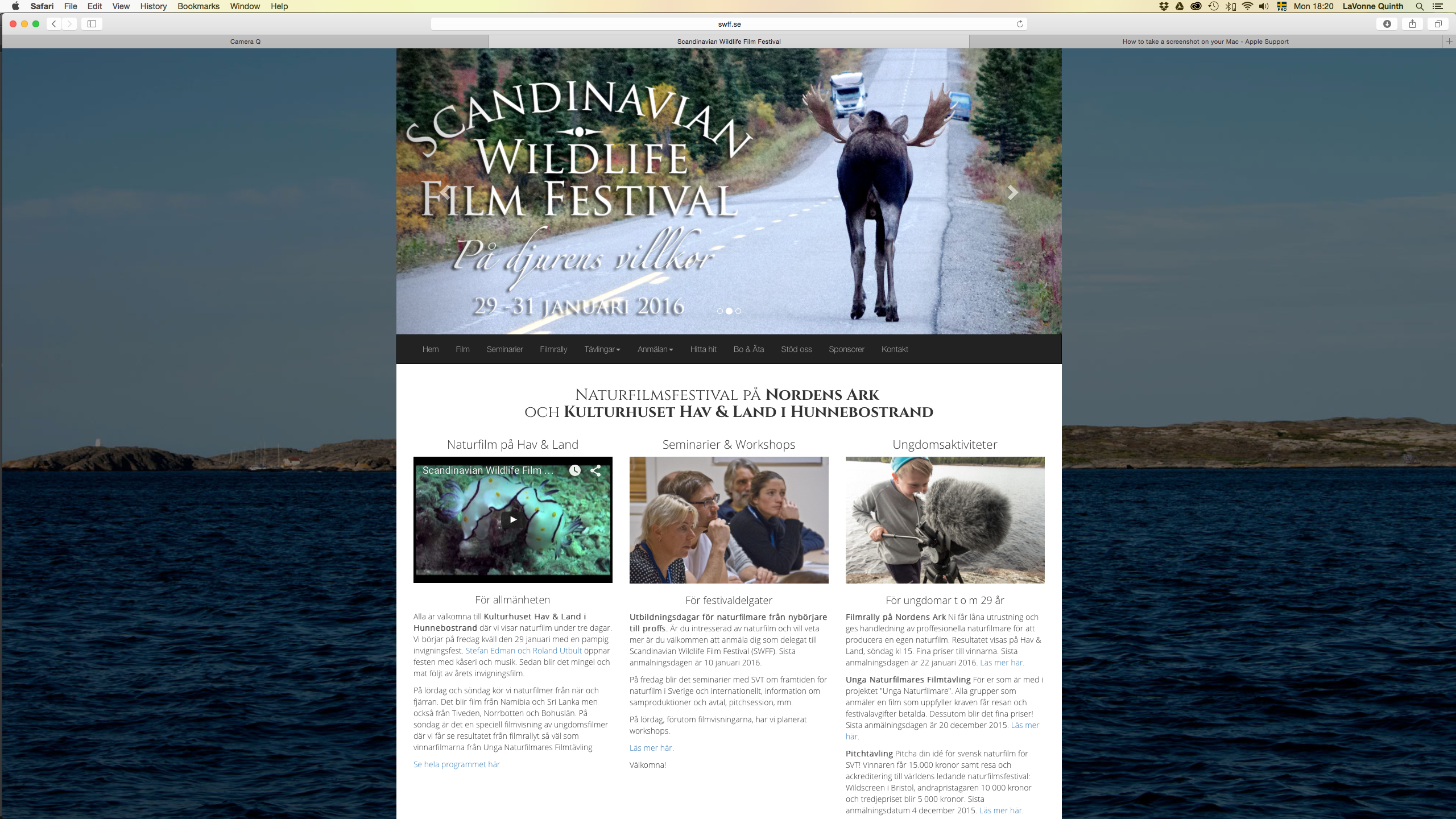 screenshot from www.swff.se - Scandinavian Wildlife Film Festival