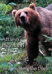 Film - Att leva i björnland på Vimeo on demand
