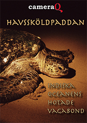 Havssköldpaddan